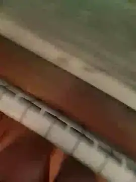 Thecrazygirl04 online show from October 8, 2025, 3:53 pm