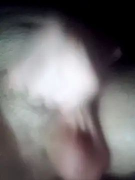 Curious9884 online show from October 1, 2025, 3:12 am