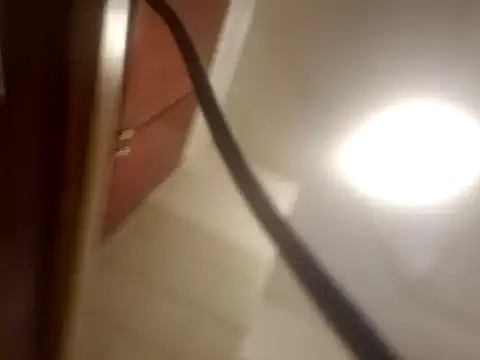 Curious9884 online show from February 1, 2026, 7:18 am