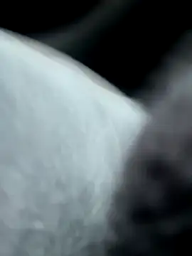 pleasedontpressaredburton online show from October 14, 2025, 2:29 pm