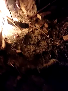 Sikici0734 online show from October 6, 2025, 5:21 pm