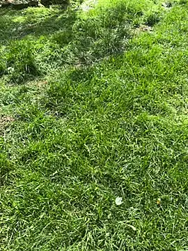 Joshman96 online show from April 28, 2026, 11:43 pm