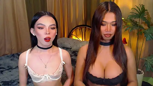 Snapshot of TWINKTRANSSHANEL chatting on October 8, 2025, 4:32 am TWINKTRANSSHANEL online show from October 8, 2025, 4:32 am