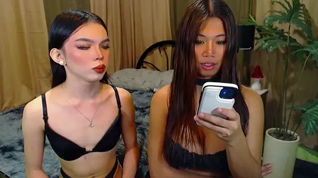 Snapshot of TWINKTRANSSHANEL chatting on October 12, 2025, 4:33 am TWINKTRANSSHANEL online show from October 12, 2025, 4:33 am