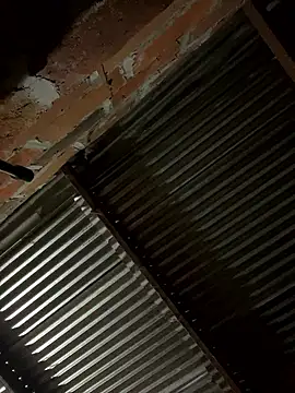 lady and charly online show from January 19, 2026, 12:09 pm