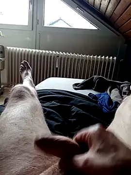 ImperlPerverso59 online show from October 7, 2025, 12:24 pm