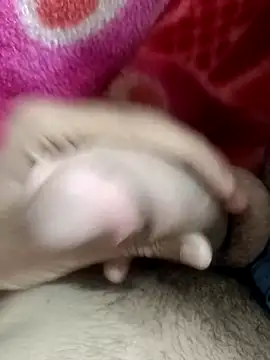 pn12345 online show from November 9, 2025, 5:44 pm