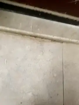 pn12345 online show from December 5, 2025, 4:10 am