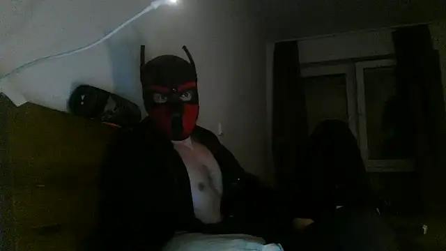 MolleDolle online show from December 3, 2025, 10:52 pm