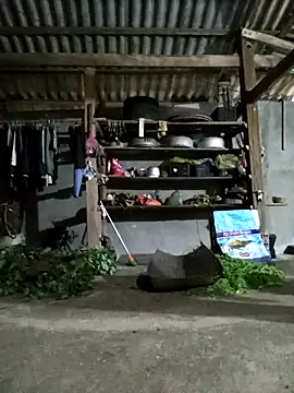 jerry-xx online show from April 19, 2026, 10:14 am