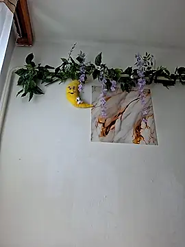 Nika aa online show from July 21, 2026, 7:54 am