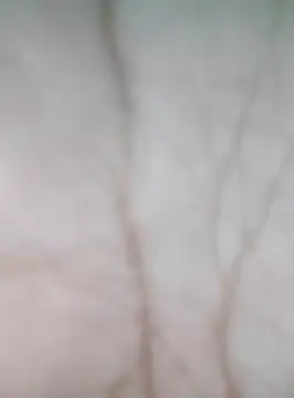 Anchal-8798 online show from November 13, 2025, 6:07 pm