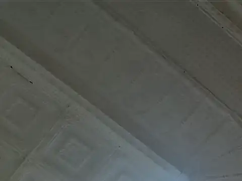 Snapshot of EsotericPaloma chatting on October 24, 2025, 7:10 pm EsotericPaloma online show from October 24, 2025, 7:10 pm