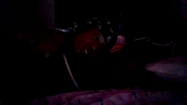 dezzidavill online show from July 28, 2026, 2:40 am