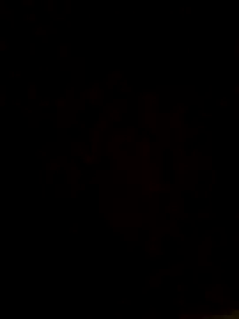 camilo44467 online show from November 23, 2025, 8:30 pm