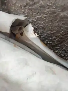 blackhot30 online show from October 12, 2025, 7:13 pm