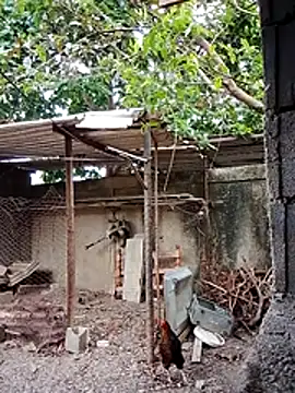 blackhot30 online show from December 1, 2025, 6:57 pm