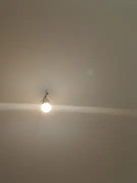 labellerose online show from April 23, 2026, 5:04 pm