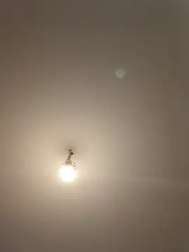 labellerose online show from April 28, 2026, 5:07 pm