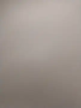 shyguy8569 online show from November 27, 2025, 4:47 am