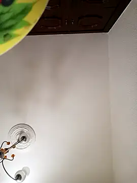 DEWOLT18 online show from February 8, 2026, 9:34 am