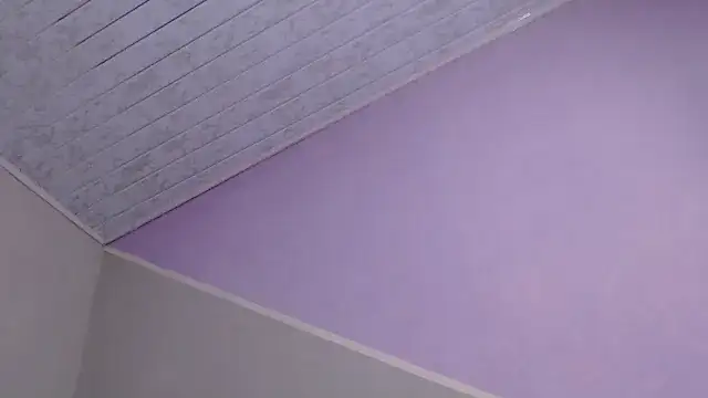 VioletGil Party  online show from December 20, 2025, 7:21 pm