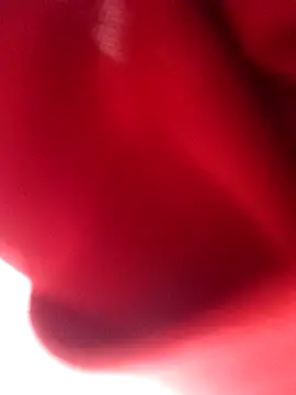 Snapshot of nalgastalla60 chatting on February 6, 2026, 3:55 am nalgastalla60 online show from February 6, 2026, 3:55 am