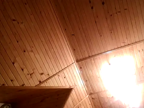 Snapshot of tibci12789 chatting on December 5, 2025, 7:54 pm tibci12789 online show from December 5, 2025, 7:54 pm