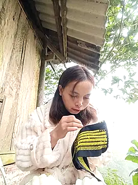 Nguyet2k4 online show from December 16, 2025, 1:54 am