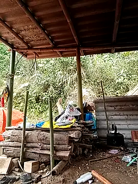 -Kem-01 online show from February 22, 2026, 6:35 am