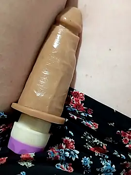 Taradinha pelosogro online show from October 24, 2025, 12:01 pm