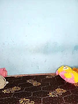 Deepa telugu online show from April 21, 2026, 9:48 am