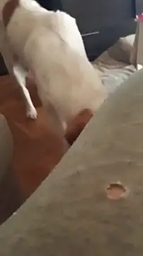 goloso80 online show from October 22, 2025, 1:11 pm