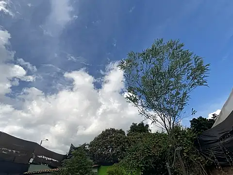 Snapshot of moon2_1_ chatting on December 4, 2025, 7:55 pm moon2 1 online show from December 4, 2025, 7:55 pm