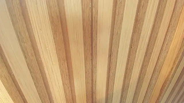 mia  blaze   online show from December 22, 2025, 3:03 am