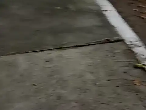 roludao fun online show from December 4, 2025, 10:07 pm