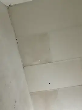 chikis12  online show from November 22, 2025, 8:52 pm