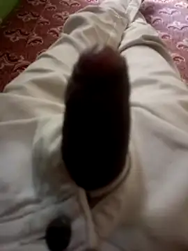 kumarstelugu online show from December 19, 2025, 6:31 am