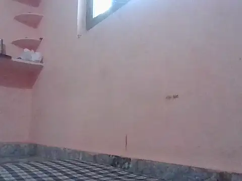 Indianteluguindian online show from November 5, 2025, 4:56 am