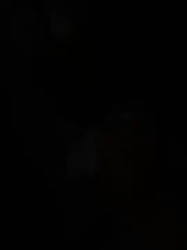 wellingtonmds online show from February 7, 2026, 1:26 pm