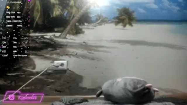 Snapshot of kimberd33 chatting on February 26, 2026, 3:11 pm kimberd33 online show from February 26, 2026, 3:11 pm