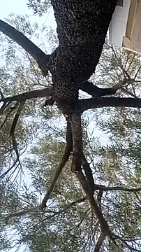 alphacloudGod online show from April 21, 2026, 1:42 am