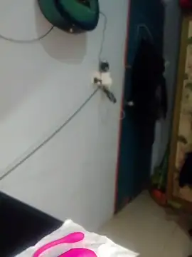 Snapshot of Nex_live chatting on May 17, 2026, 12:56 pm Nex live online show from May 17, 2026, 12:56 pm