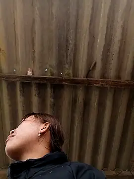 sowbibi online show from February 8, 2026, 5:11 am