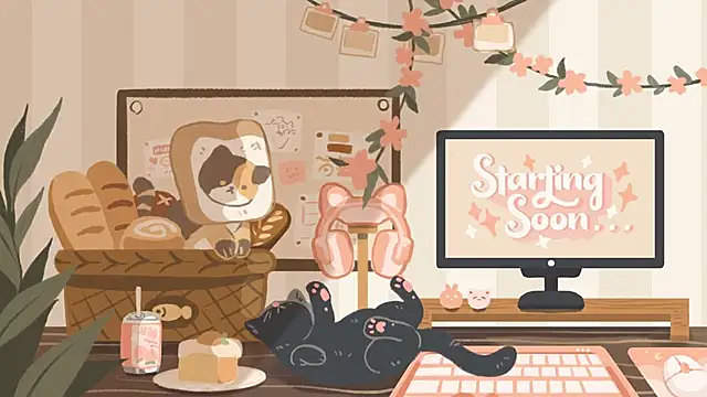 Snapshot of geekycastillo chatting on January 9, 2026, 4:48 am geekycastillo online show from January 9, 2026, 4:48 am