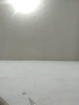 Chicattoo69 online show from December 2, 2025, 1:55 am