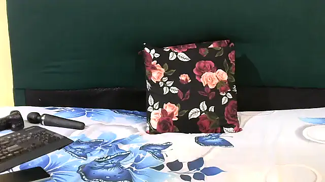 Snapshot of CherryZee chatting on November 14, 2025, 6:23 am CherryZee online show from November 14, 2025, 6:23 am