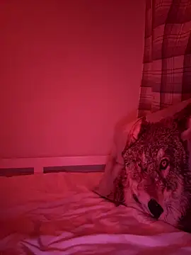 Janekat online show from February 6, 2026, 3:33 am