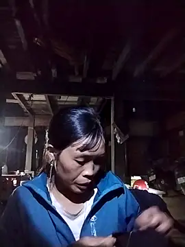 dinnavi online show from November 12, 2025, 12:16 pm