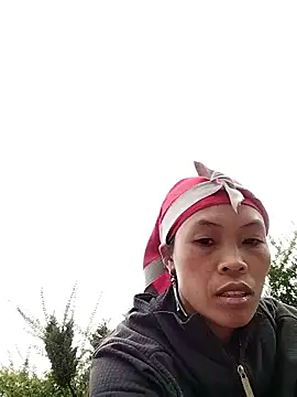 dinnavi online show from November 20, 2025, 1:17 am